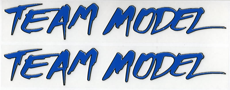 "Team Model" Sticker - Clear